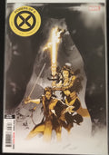 Powers of X #3J